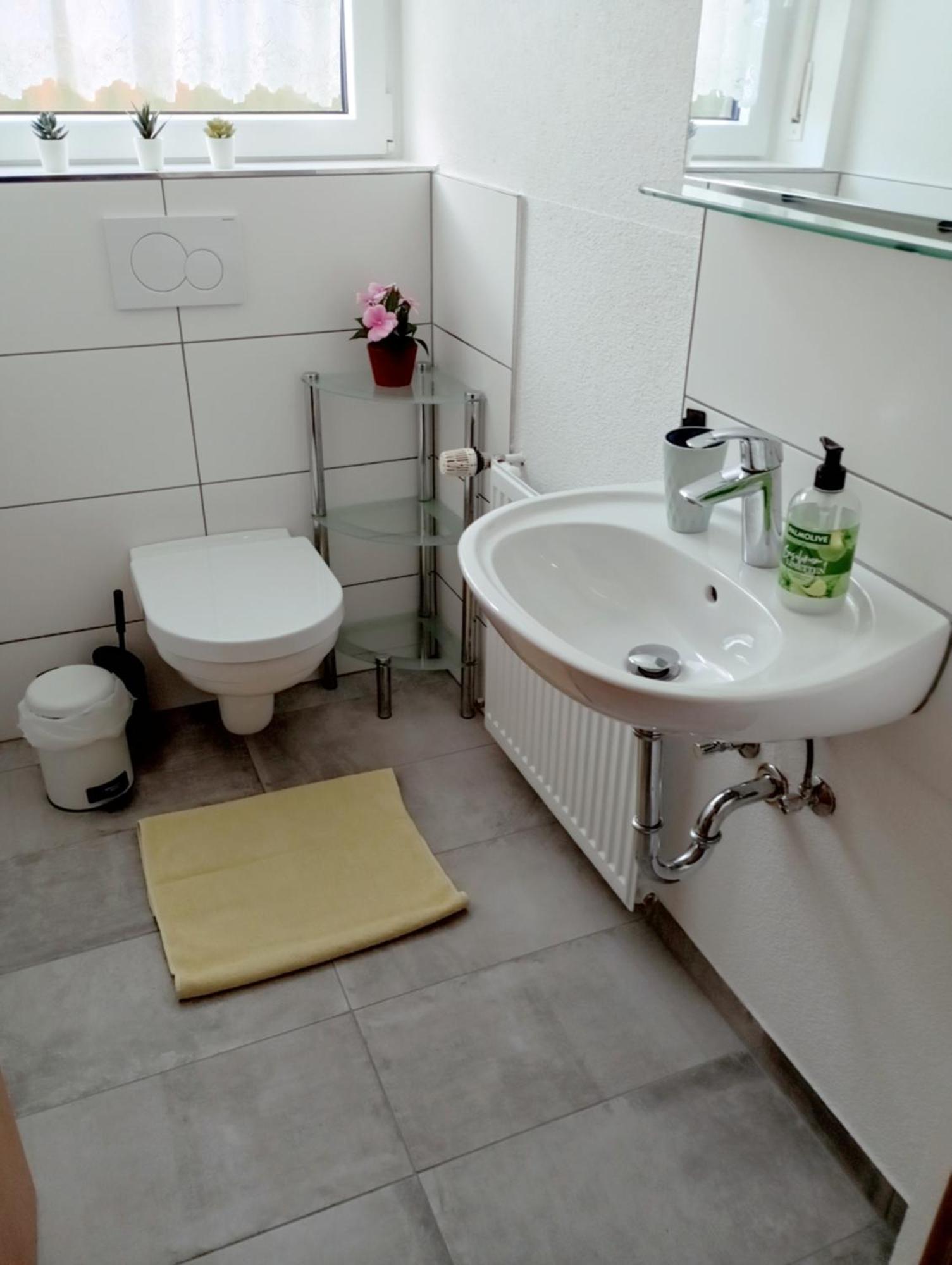 Haemmerle Fewo Holiday Apartment - Green Konstanz Ngoại thất bức ảnh